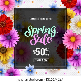Spring sale vector banner template with colorful chrysanthemum and zinnia flowers elements in the background and spring shopping promotion text in a frame. Vector illustration.
