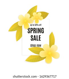 Spring sale vector flowers background. Sale text, colorful plumeria flowers ,template  for spring seasonal promotion.