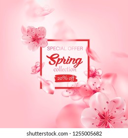 Spring sale vector illustration with cherry blossom flowers, flying petals. Pink sakura.  