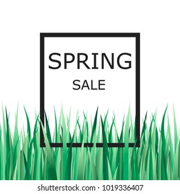  Spring sale. Vector illustration with green grass and text for banner, flyer