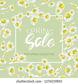 Spring SALE,hand written lettering. Banner with lots of daisies and frame on light green background.Vector illustration
