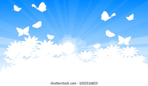 spring scene landscape , white plant flower and butterflies, and sun ray with blue sky background, white tone color, vector art and illustration. spring to be fresh concept.