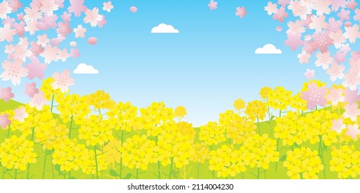Spring scenery illustration of the cherry tree and canola flower.