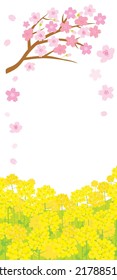 Spring scenery illustration of the cherry tree and canola flower.