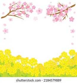 Spring scenery illustration of the cherry tree and canola flower.