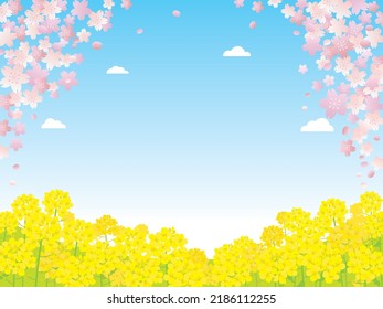 Spring scenery illustration of the cherry tree and canola flower.