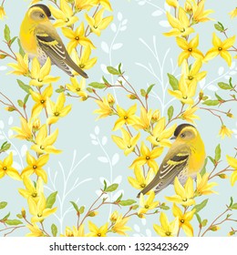 Spring seamless pattern with birds Siskin, blossoming yellow flowers and green leaves on branches Forsythia. Vector illustration in watercolor style on turquoise background.