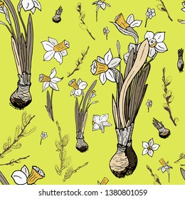 Spring seamless pattern with daffodils and willow. Vector.