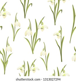 Spring seamless pattern of Galanthus flowers. Spring bouquet of snowdrops. Vector botanical illustration.