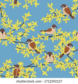 Patrón transparente de primavera con pájaros gordos floreciendo flores amarillas en las ramas de Forsythia. Ilustración plana vectorial sobre fondo azul.