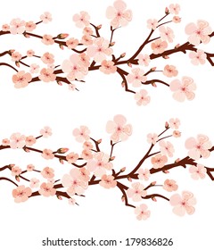 spring seamless texture with cherry branch in bloom