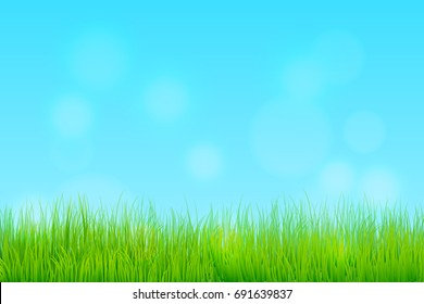 Spring Season Background. Meadow and clear sky. Vector Illustration.