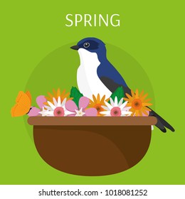 Spring season design