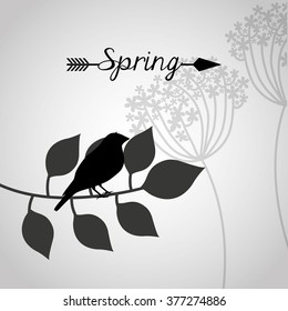 spring season design 