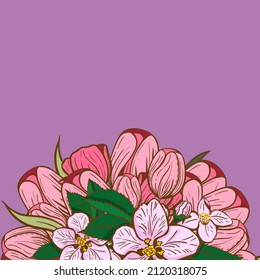 Spring Season Floral Border With Pink Gentle Tulips with empty space for text. Happy Women's 8th of March Day Background.