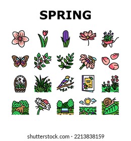 spring season flower nature icons set vector. flora plant, green leaf, blossom garden, beauty fresh tree, grass sky, beautiful spring season flower nature color line illustrations