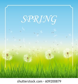 spring season with flowers background