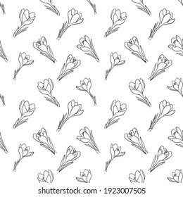 Spring season, flowers, Spring landscape, spring pattern, crocus pattern