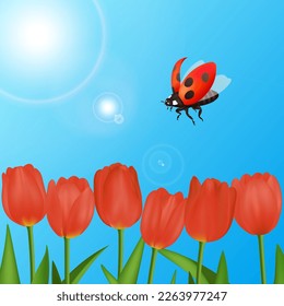 Spring season flying Ladybug, ladybird to the flower. Nature realistic macro illustration, design for biology book. Red Insect flying to the blooming tulip. Blue sky and sun background.