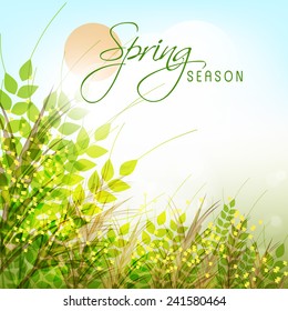 Spring season greeting card design with green plants on shiny background.