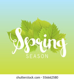 Spring season letter and green leaves vector illustration. Gradient Background.