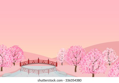 spring season of sakura cherry blossom tree with red bridge landscape. vector illustration