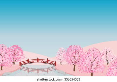 spring season of sakura cherry blossom tree with red bridge landscape. vector illustration