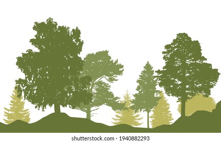 Spring season. Silhouette of beautiful forest. Different trees, birch, fir, pine, coniferous trees. Vector illustration.