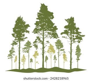 Spring season, silhouette of coniferous forest, pine trees. Beautiful nature, woodland. Vector illustration
