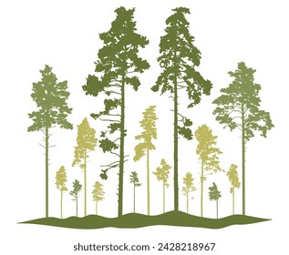 Spring season, silhouette of coniferous forest, pine trees. Beautiful nature, woodland. Vector illustration