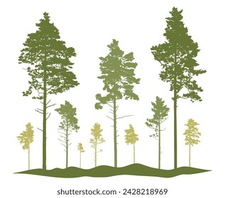 Spring season, silhouette of coniferous forest, pine trees. Beautiful nature, woodland. Vector illustration