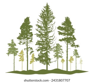 Spring season, silhouette of coniferous forest, pine trees. Beautiful nature, woodland. Vector illustration