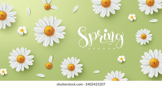 Spring season text greeting vector design. Spring season text in green background with daisy blooming and plumeria flowers elements decoration. Vector illustration spring greeting card banner.
