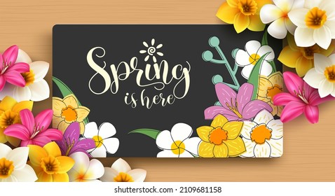Spring season vector concept design. Spring is here typography text in line art paint decoration with daffodil and lily flowers for bloom seasonal celebration greeting. Vector illustration.
