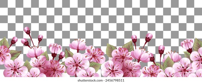 Spring seasonal background with long horizontal border of artistically drawn flowers, Japanese cherry blossoms in pink, delicate color, isolated in transparent background. Pink sakura.