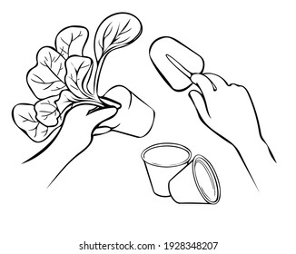 Spring seedlings. Hand plants a sprout from the top. Vector line art illustration. Domestic garden or farming concept.
