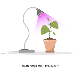 Semillas de primavera en macetas bajo lámpara fitofónica. Cultivando plantas de jardinería con luz violeta. Productos vegetarianos y ecológicos. Ilustración vectorial al estilo de las caricaturas planas. Concepto de cuidado vegetal.