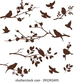 Spring set of bird and floral twig silhouettes.  Blossoming apple and cherry tree branches