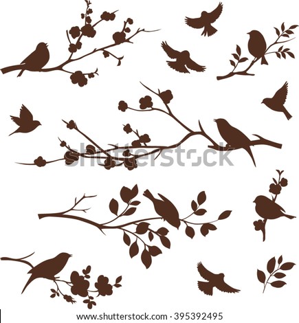 Spring set of bird and floral twig silhouettes.  Blossoming apple and cherry tree branches