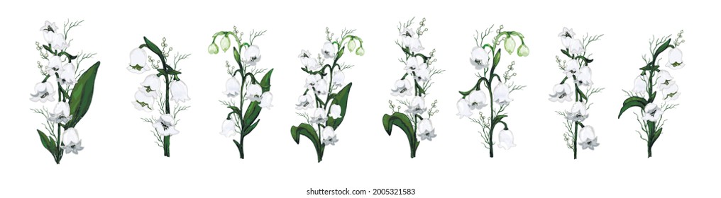 Spring set, a bouquet of Lily of the valley flower. hand drawn realistic composition isolated on white background. Botanical vector illustration, primrose. for print, card  paper. art vintage style