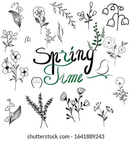 Spring set of doodles flowers and leaves, springtime vector illustration