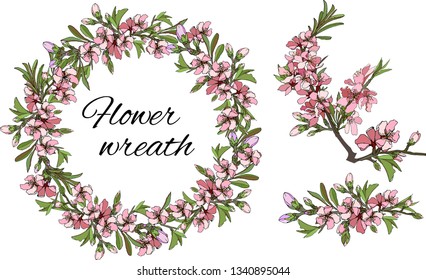 Spring set of floral patterns, ornaments and vector wreaths of delicate pink flowers to decorate cards and greetings