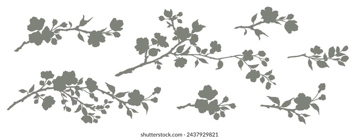 Conjunto de primavera de ramas floridas. Rama de sakura dibujada a mano con flores en estilo silueta. Ilustración aislada botánica del vector en color negro