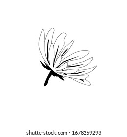 decorado con flores en blanco y negro
