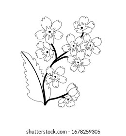 spring set with flowers black and white
