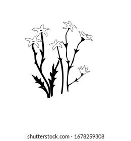 spring set with flowers black and white