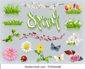 Spring set. Grass and flowers 3d vector icon