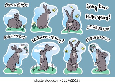 Juego primaveral de pegatinas dibujadas a mano con conejos de dibujos animados, flores primaverales, mariposas y dichos primaverales. Ilustración plana vectorial aislada a mano. Plantilla para tarjetas, impresión textil