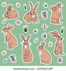 Spring set of hand drawn stickers with cartoon rabbits, spring flowers, butterflies and cherry blossom. Hand drawn isolated vector flat illustration. Template for cards, textile printing