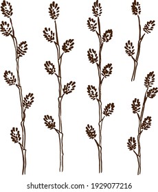 Spring set with hand-drawn sketches of young willow twigs on a white background. Engraving style. Vector illustration.